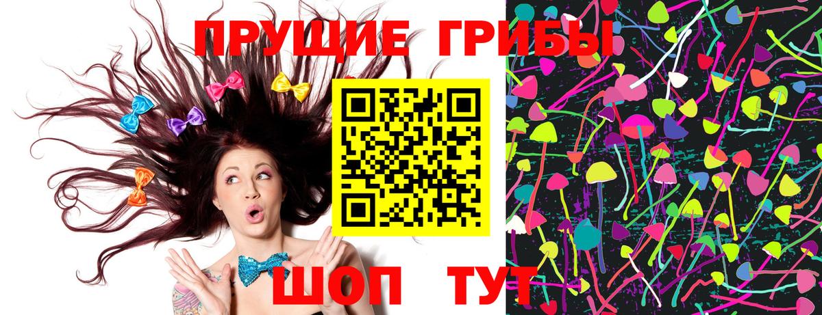 Псилоцибиновые грибы Psilocybe  Вход с VPN  Канаш  где можно купить наркотик  Галлюциногенные грибы мицелий 